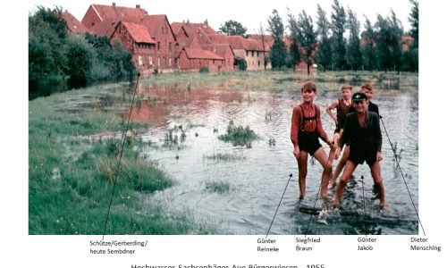 1119 1955xx Hochwasser Aue Bürgerwiesen