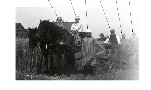 1602 1938 Mähmaschine Schütze Stelling