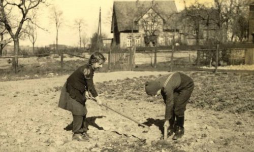 Düh137 09 1950 Gerlach, Schweer, BraunWaltraut verh Wittenberg Siegfried